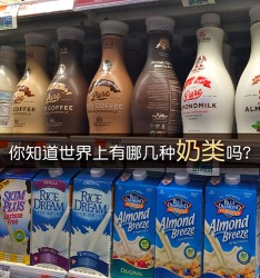 食物小知识:  你知道世界上有哪几种 “奶类”吗?